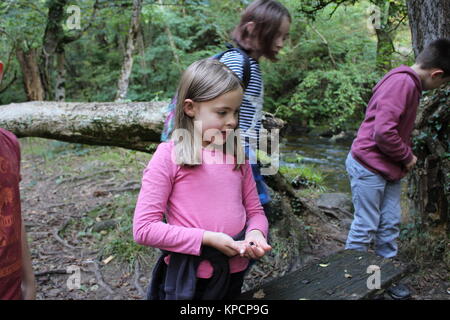 Bambini all'aperto, foresta scuola, i bambini all'aperto, educazione all'aperto Foto Stock