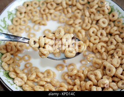 Iniziare la giornata nel modo giusto con nutrienti cereali integrali con il latte Foto Stock