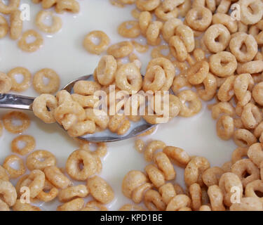 Iniziare la giornata nel modo giusto con nutrienti cereali integrali con il latte Foto Stock