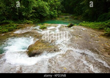 Reach Falls e la lussureggiante foresta pluviale nella parrocchia di Portland, Giamaica Foto Stock
