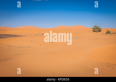 Le dune di sabbia del deserto del Sahara,merzouga,Marocco Foto Stock