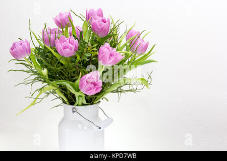 Pink,viola i tulipani in un bianco latte caraffa contro uno sfondo bianco Foto Stock