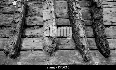 Museo di Archeologia, Olbia, Sardegna, Italia Foto Stock