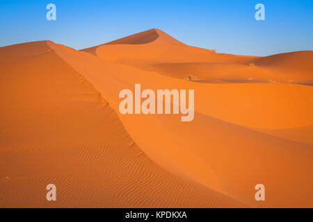 Le dune di sabbia del deserto del Sahara,merzouga,Marocco Foto Stock