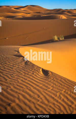 Le dune di sabbia del deserto del Sahara,merzouga,Marocco Foto Stock