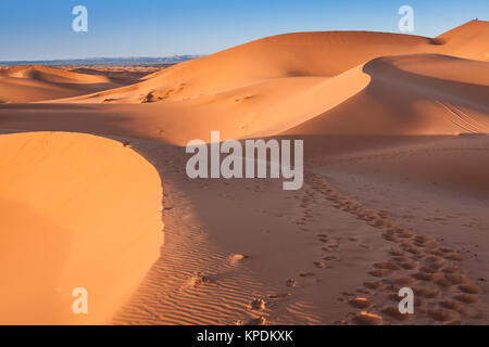 Le dune di sabbia del deserto del Sahara,merzouga,Marocco Foto Stock