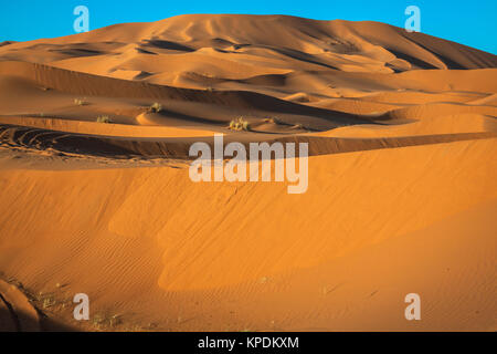 Le dune di sabbia del deserto del Sahara,merzouga,Marocco Foto Stock