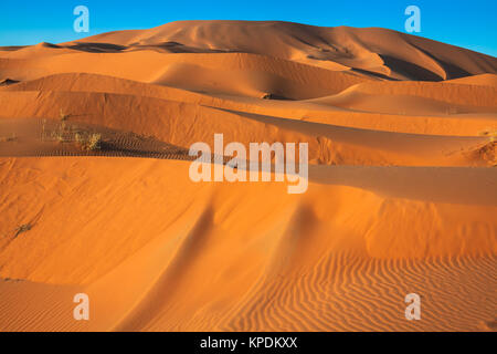 Le dune di sabbia del deserto del Sahara,merzouga,Marocco Foto Stock