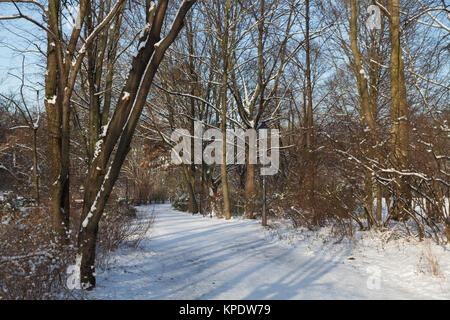 Inverno a Berlino il parco di Friedrichshain Foto Stock