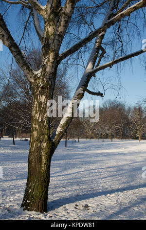 Inverno a Berlino il parco di Friedrichshain Foto Stock