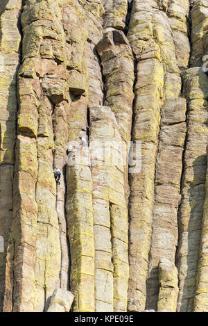 Gli alpinisti su Devils Tower Foto Stock