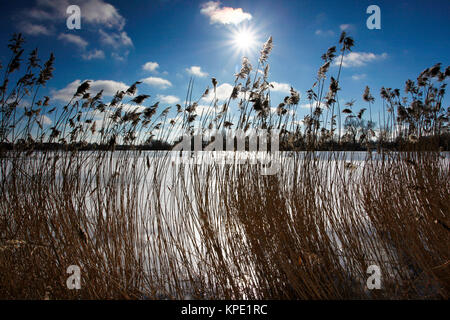 Felder und Weisen im Licht mit Schatten und Wolken,Sonnenstrahlen,Wolken über Landschaft Foto Stock