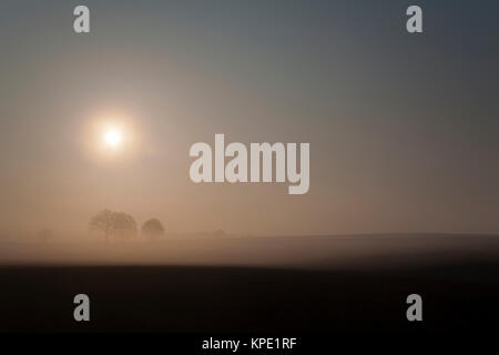 Sonnenaufgang im Nebel auf dem Feld,Wiesen und Wälder im Frühling,Nebelschwaden und durchbrechende Sonne Foto Stock