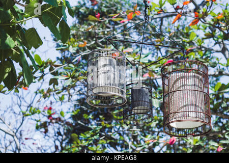 Lampade decorative presso la struttura ad albero sulla spiaggia Foto Stock