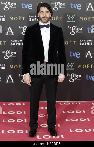 MADRID, Spagna - 7 febbraio: Eduardo Noriega assiste il Goya Film Cerimonia di Premiazione presso il Principe Felipe centro congressi a Madrid il 7 febbraio, 2015 persone: Eduardo Noriega Foto Stock