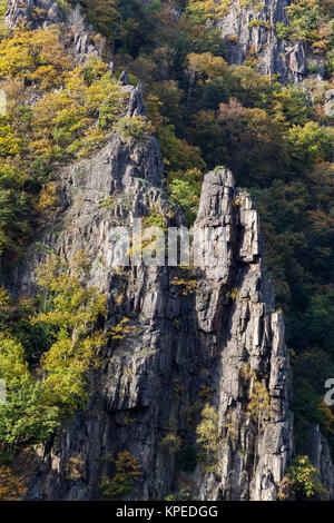 Bodetal Tor im Harz Herbst Foto Stock