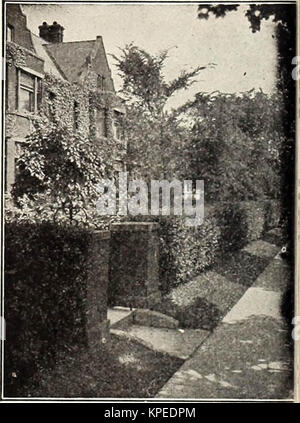 'Rivisto, illustrato e catalogo descrittivo di frutta e di alberi ornamentali arbusti, rose, bulbi e piante a bulbo, vigne, piccoli frutti, ecc." (1916) Foto Stock