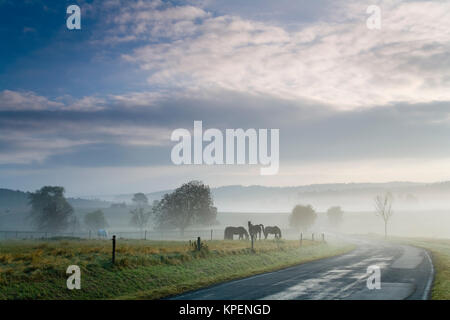 Sonnenaufgang im Nebel auf dem Feld,Wiesen und Wälder im Frühling,Nebelschwaden und durchbrechende Sonne Foto Stock