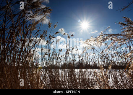 Felder und Weisen im Licht mit Schatten und Wolken,Sonnenstrahlen,Wolken über Landschaft Foto Stock