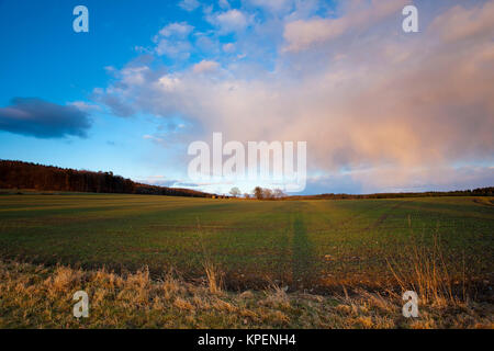 Felder und Weisen im Licht mit Schatten und Wolken,Sonnenstrahlen,Wolken über Landschaft Foto Stock