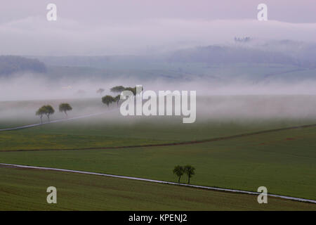 Sonnenaufgang im Nebel auf dem Feld,Wiesen und Wälder im Frühling,Nebelschwaden und durchbrechende Sonne Foto Stock