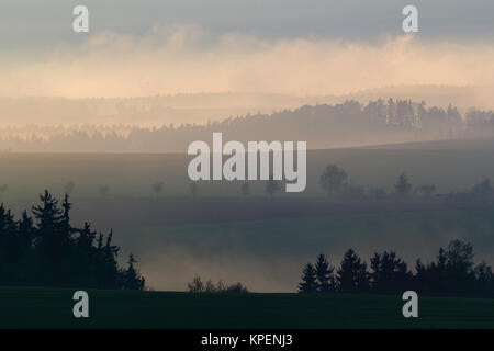 Sonnenaufgang im Nebel auf dem Feld,Wiesen und Wälder im Frühling,Nebelschwaden und durchbrechende Sonne Foto Stock