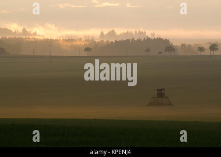 Sonnenaufgang im Nebel auf dem Feld,Wiesen und Wälder im Frühling,Nebelschwaden und durchbrechende Sonne Foto Stock