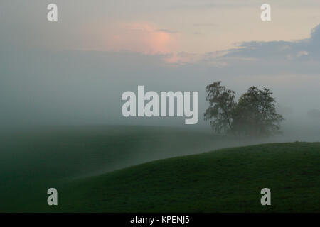 Sonnenaufgang im Nebel auf dem Feld,Wiesen und Wälder im Frühling,Nebelschwaden und durchbrechende Sonne Foto Stock