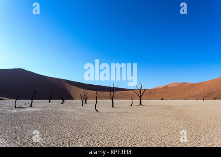 Vlei nascosto nel deserto del Namib Foto Stock