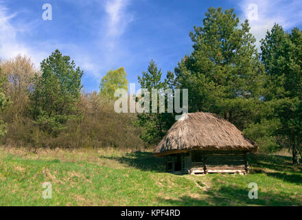 Piccola vecchia capanna in legno della foresta Foto Stock