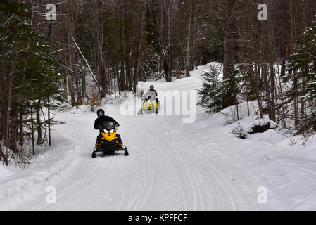 Due motoslitte a cavallo su un sentiero forestale nel comune di Lago Pleasant, NY USA nel Parco Adirondack. Foto Stock