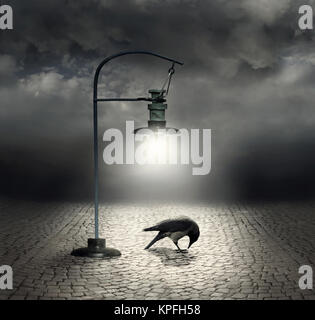 Bella immagine artistica con un lampione che illumina un corvo e ciottoli con un colore scuro e cielo nuvoloso sullo sfondo Foto Stock