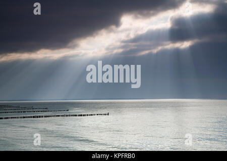 Ostsee im Sommer mit Sonne im Gegenlicht und Reflexionen,Untergehende Sonne bestrahlt Äste und Steine im Meerwasser Foto Stock