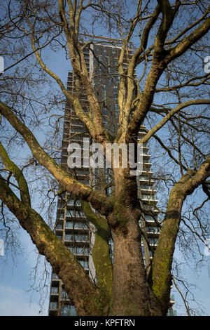 Inverno rami di un piano urbano di albero e nuovi appartamenti a Elephant & Castle a Southwark, il 7 dicembre 2017, a Londra Inghilterra. Foto Stock