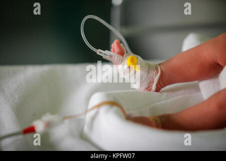 Poco Premature Baby in un incubatore a la sezione neonatale della maternità Foto Stock