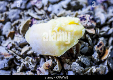 Roti/chapati di miglio di perla/bajri/Pennisetum glaucum con jaggery. Foto Stock