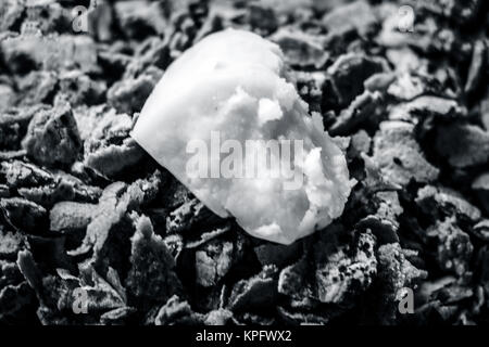 Roti/chapati di miglio di perla/bajri/Pennisetum glaucum con jaggery. Foto Stock