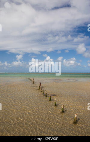 Puerto Rico, East Coast, Luquillo, Playa Luquillo Beach, sulla spiaggia Foto Stock