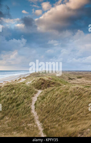 Danimarca, nello Jutland, Danese Riviera, Hvide Sande, dune costiere, crepuscolo Foto Stock