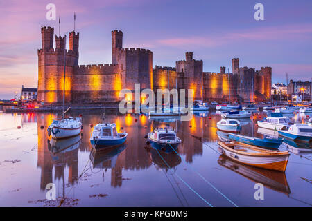 Caernarfon castello galles caernarfon nord galles Caernarfon nord galles illuminato di notte Caernarfon baia estuario Gwynedd nord galles gb uk Foto Stock