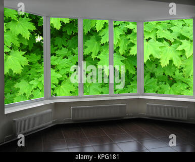 Finestre in plastica di veranda che si affaccia sul verde maple Foto Stock