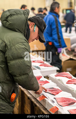 Tokyo, Giappone - 20 Febbraio 2014 - un tester di tonno per controllare la qualità di pesce nel mercato Tsukiji, Tokyo, Giappone Foto Stock