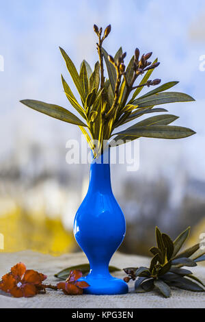 Rosso aromatico colorati fiori in un vaso blu sul sacchetto gunny. Foto Stock