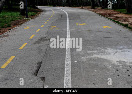 Immagine di una tortuosa strada attraverso una foresta Foto Stock