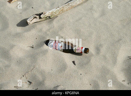 Bottiglia di birra e driftwood di sabbia su Gonubie beach, a est di Londra Foto Stock