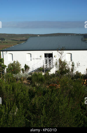 La-Vierge ristorante e cantina, Hermanus, Sud Africa Foto Stock