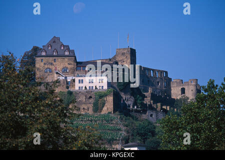 In Germania, in Renania Palatinato, St. Goar, Rheinfels Castello (Burg Rheinfels) ora un hotel. Foto Stock