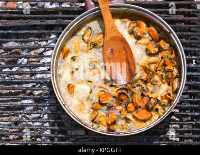 Cuocere le cozze in una salsa cremosa su un fuoco aperto. Foto Stock