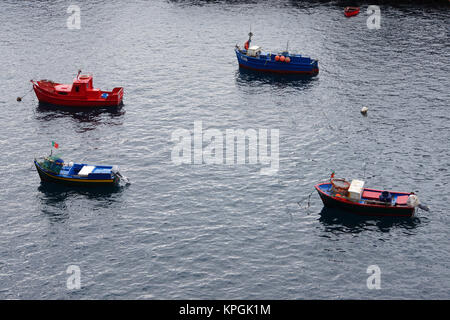 Fischerboote im Hafen von Camara de Lobos, Madeira, Portogallo Foto Stock