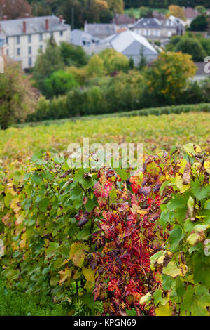 Francia, Marne, Champagne Ardenne, Avenay Val-d'Or, città vigneto Foto Stock